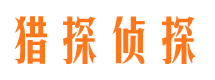 郸城市场调查